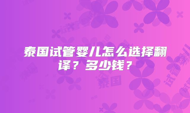 泰国试管婴儿怎么选择翻译?多少钱?