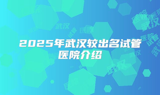 2025年武汉较出名试管医院介绍
