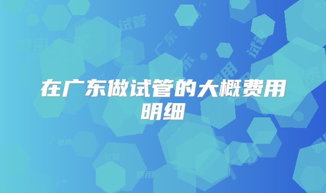 在广东做试管的大概费用明细