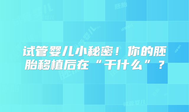 试管婴儿小秘密！你的胚胎移植后在“干什么”？