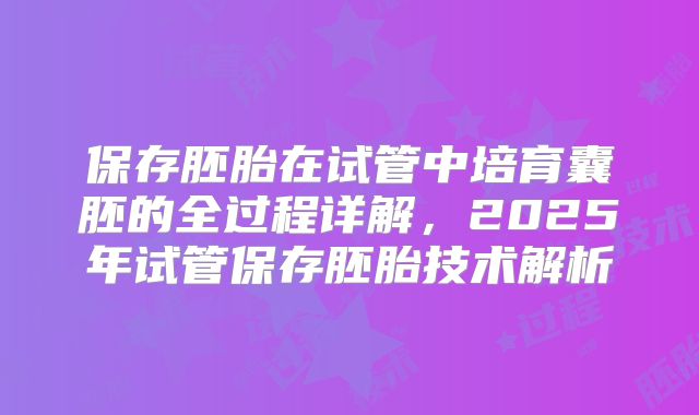 保存胚胎在试管中培育囊胚的全过程详解，2025年试管保存胚胎技术解析
