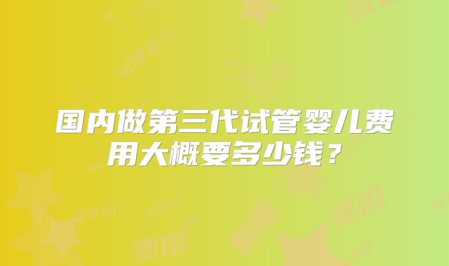 国内做第三代试管婴儿费用大概要多少钱？