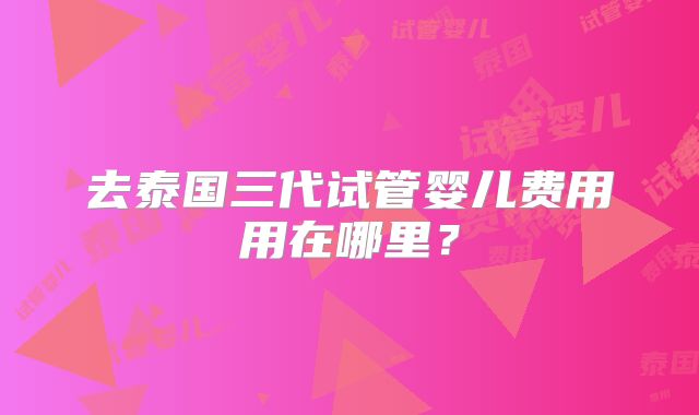 去泰国三代试管婴儿费用用在哪里?