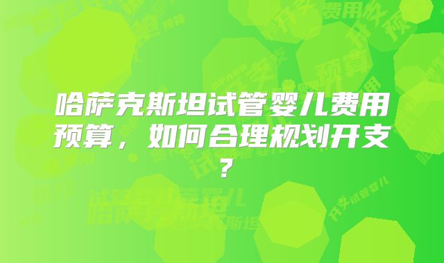 哈萨克斯坦试管婴儿费用预算,如何合理规划开支?