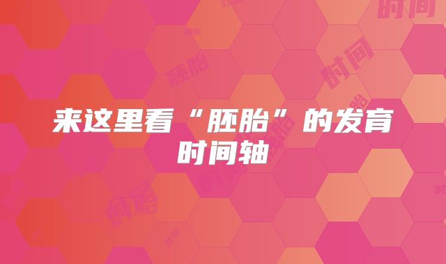 来这里看“胚胎”的发育时间轴