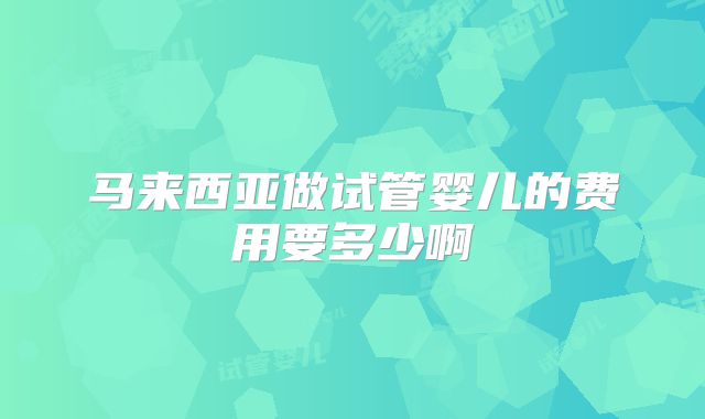 马来西亚做试管婴儿的费用要多少啊