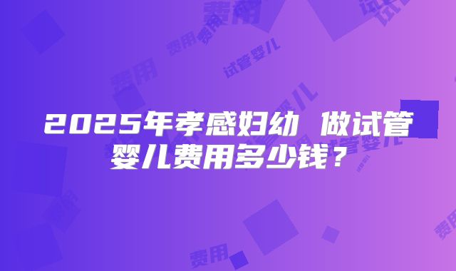 2025年孝感妇幼 做试管婴儿费用多少钱？