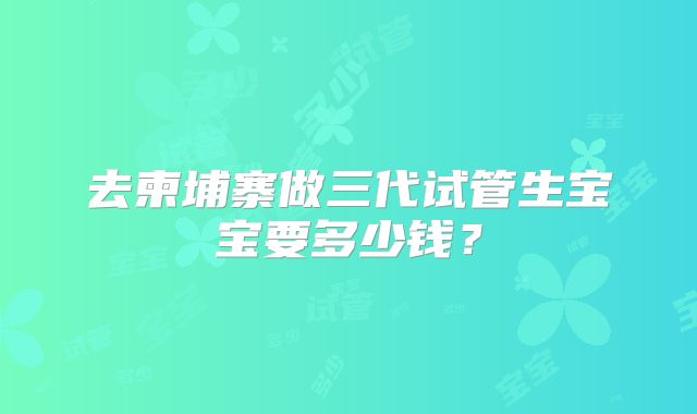 去柬埔寨做三代试管生宝宝要多少钱？