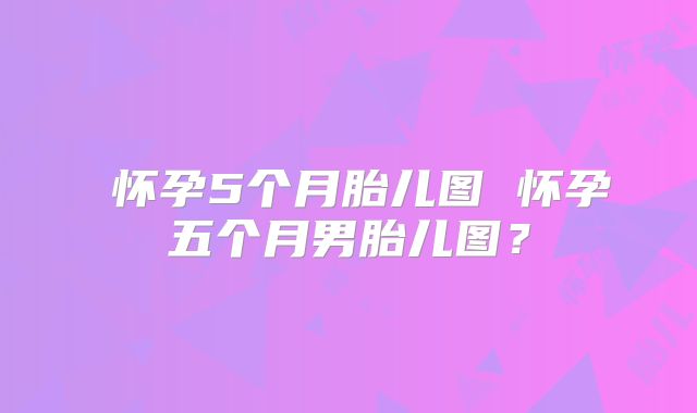 ​怀孕5个月胎儿图 怀孕五个月男胎儿图？