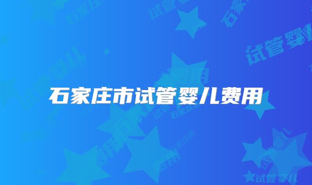 石家庄市试管婴儿费用