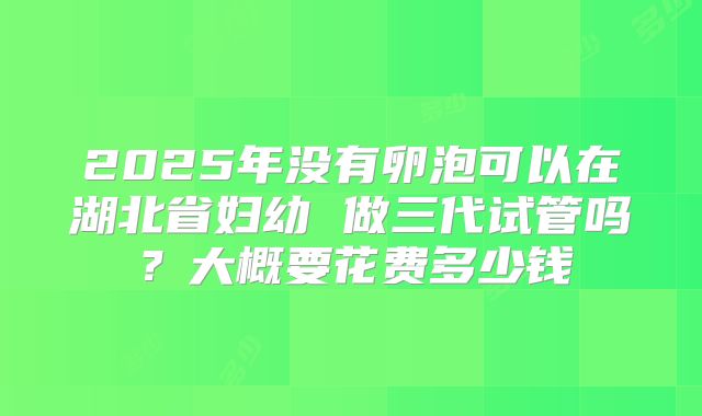 2025年没有卵泡可以在湖北省妇幼 做三代试管吗?大概要花费多少钱