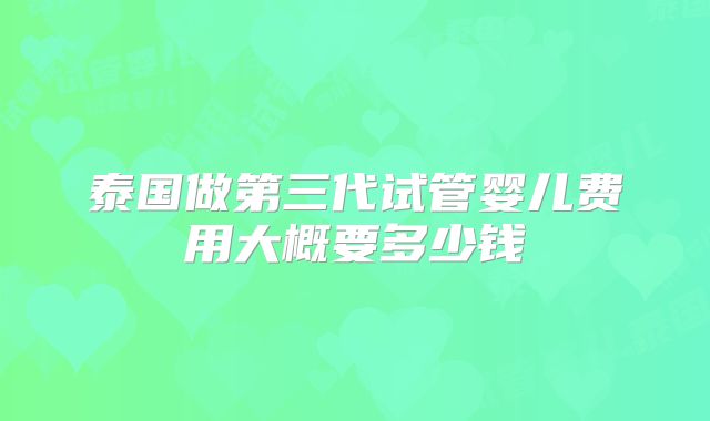 泰国做第三代试管婴儿费用大概要多少钱