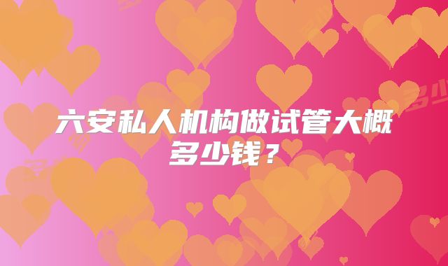 六安私人机构做试管大概多少钱？