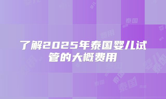 了解2025年泰国婴儿试管的大概费用