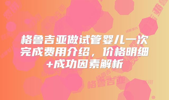 格鲁吉亚做试管婴儿一次完成费用介绍，价格明细+成功因素解析