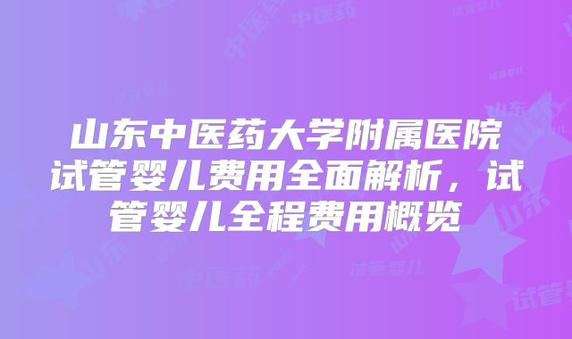 山东中医药大学附属医院试管婴儿费用全面解析，试管婴儿全程费用概览