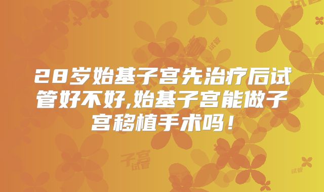 28岁始基子宫先治疗后试管好不好,始基子宫能做子宫移植手术吗！