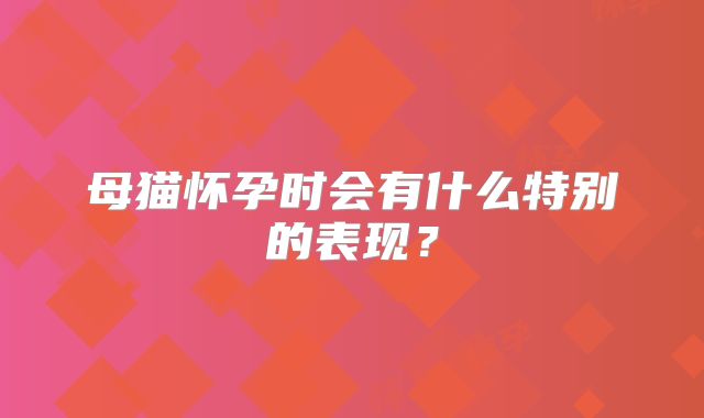 母猫怀孕时会有什么特别的表现?