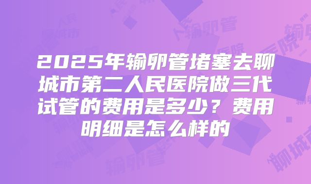 2025年输卵管堵塞去聊城市第二人民医院做三代试管的费用是多少？费用明细是怎么样的