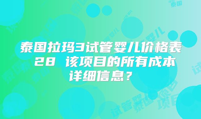 泰国拉玛3试管婴儿价格表 28 该项目的所有成本详细信息?