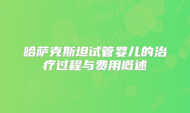 哈萨克斯坦试管婴儿的治疗过程与费用概述
