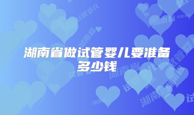 湖南省做试管婴儿要准备多少钱