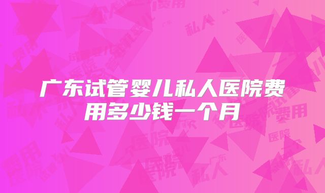 广东试管婴儿私人医院费用多少钱一个月