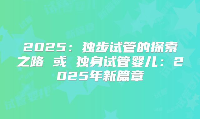 2025：独步试管的探索之路 或 独身试管婴儿：2025年新篇章