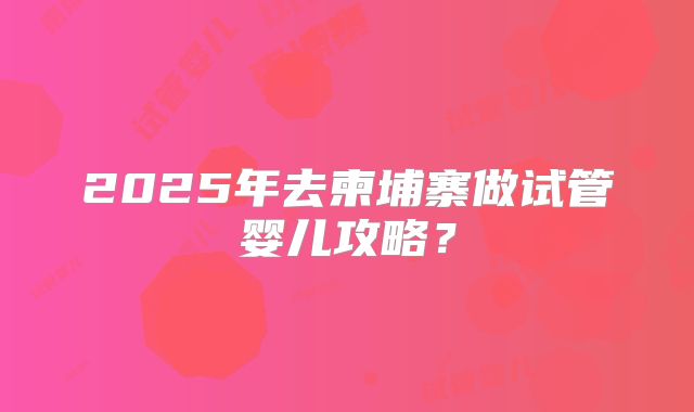 2025年去柬埔寨做试管婴儿攻略？