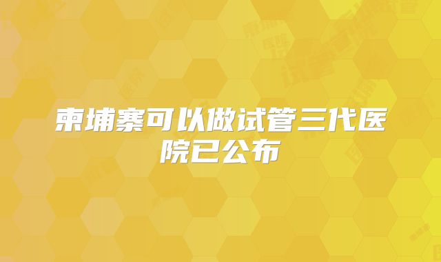 柬埔寨可以做试管三代医院已公布