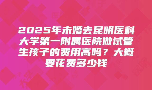 2025年未婚去昆明医科大学第一附属医院做试管生孩子的费用高吗？大概要花费多少钱