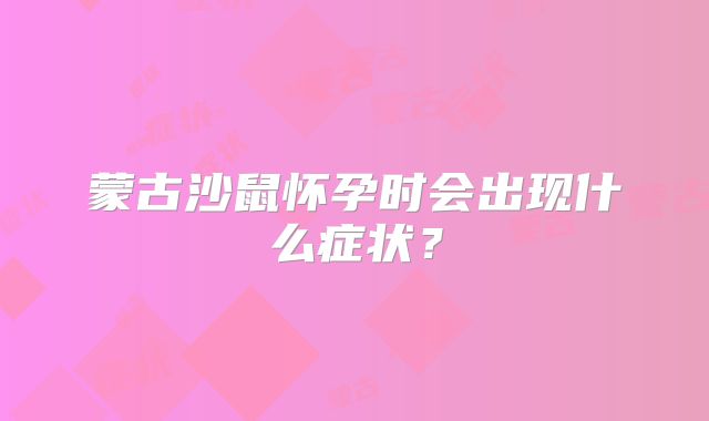 蒙古沙鼠怀孕时会出现什么症状？