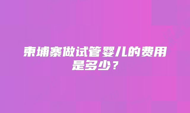 柬埔寨做试管婴儿的费用是多少？