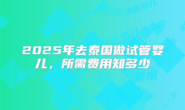 2025年去泰国做试管婴儿，所需费用知多少