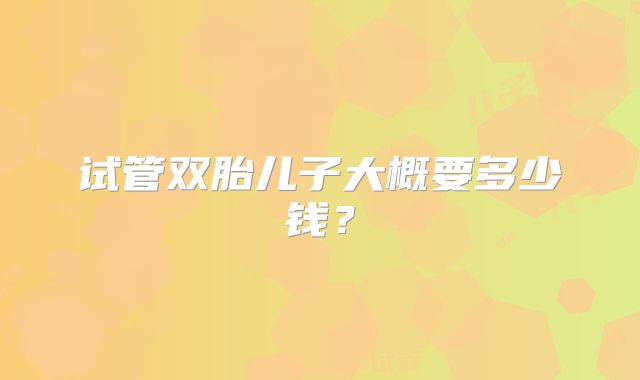 试管双胎儿子大概要多少钱？