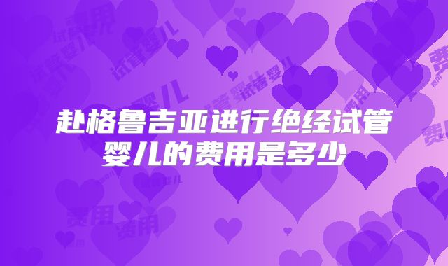 赴格鲁吉亚进行绝经试管婴儿的费用是多少