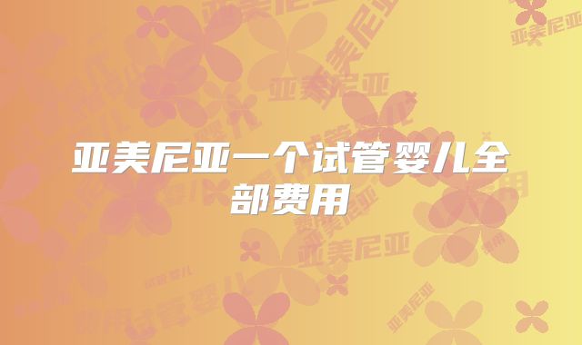亚美尼亚一个试管婴儿全部费用