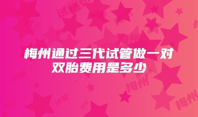 梅州通过三代试管做一对双胎费用是多少