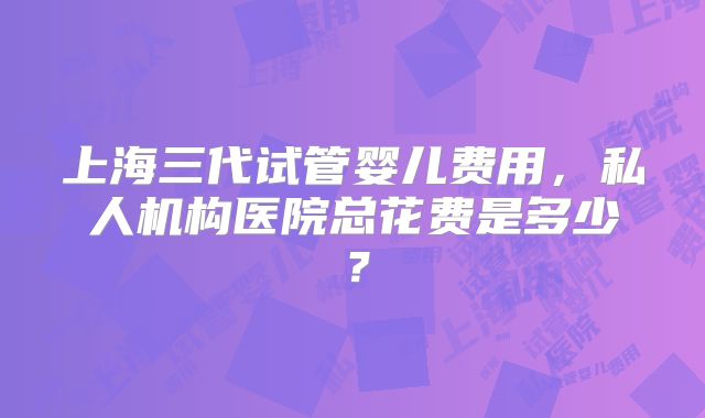 上海三代试管婴儿费用,私人机构医院总花费是多少?