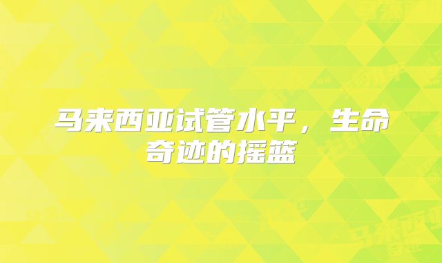 马来西亚试管水平，生命奇迹的摇篮