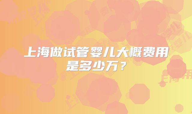 上海做试管婴儿大概费用是多少万？