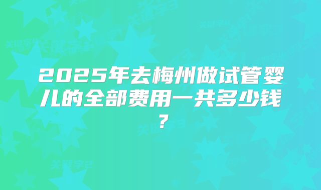 2025年去梅州做试管婴儿的全部费用一共多少钱？