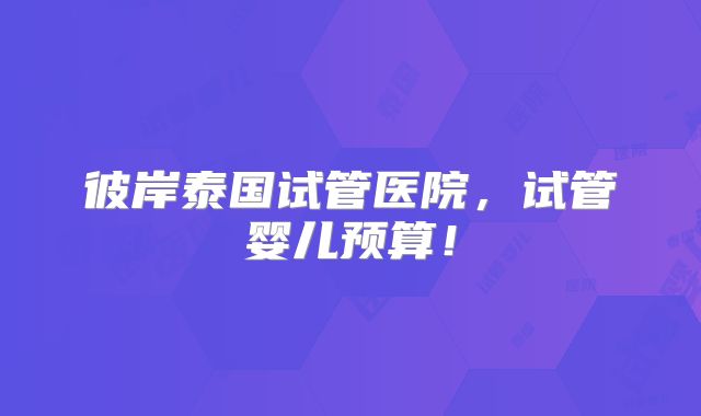彼岸泰国试管医院,试管婴儿预算!