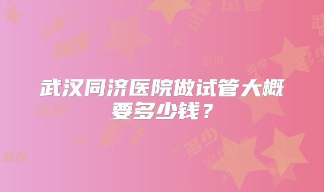 武汉同济医院做试管大概要多少钱？