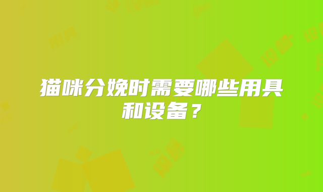 猫咪分娩时需要哪些用具和设备?