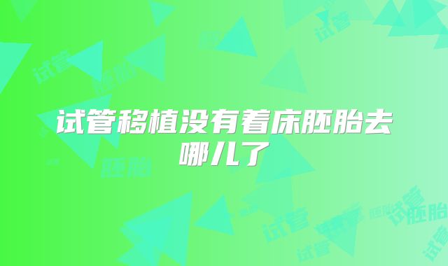 试管移植没有着床胚胎去哪儿了