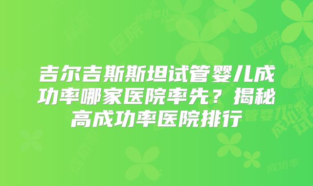 吉尔吉斯斯坦试管婴儿成功率哪家医院率先?揭秘高成功率医院排行