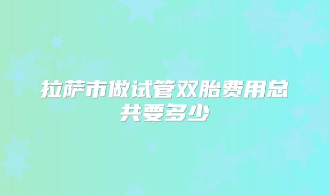 拉萨市做试管双胎费用总共要多少