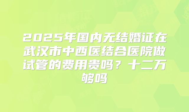 2025年国内无结婚证在武汉市中西医结合医院做试管的费用贵吗?十二万够吗