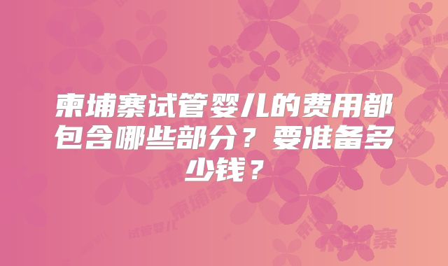 柬埔寨试管婴儿的费用都包含哪些部分？要准备多少钱？